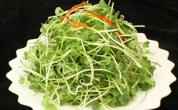 开胃凉菜要怎么做？怎样做的凉菜好吃又营养？(1)