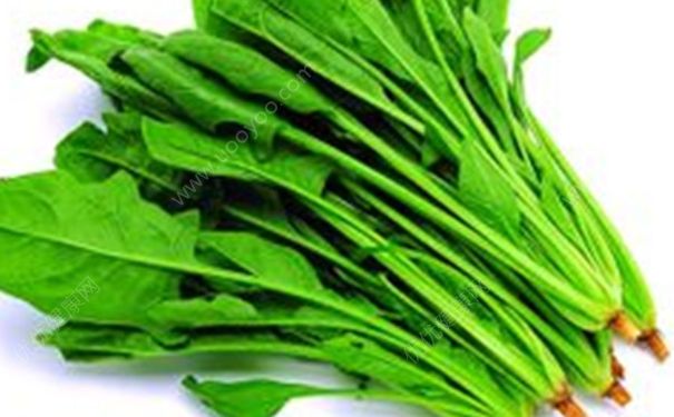 减肥吃哪些食物最好？帮助减肥的食物有哪些？(1)