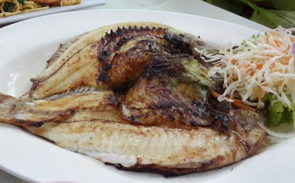 石斑鱼的烹饪技巧有哪些？怎样制作美味石斑鱼？(1)