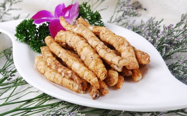 冬虫夏草的养生功效有哪些？虫草怎么吃养生效果最好？[