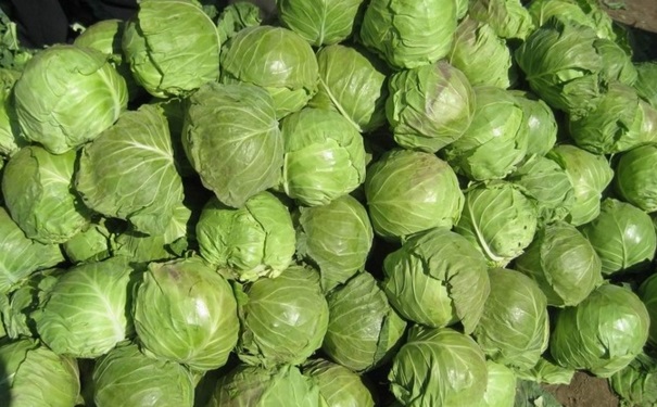 甘蓝菜的养胃食谱有哪些？甘蓝菜怎么吃最养生？(1)