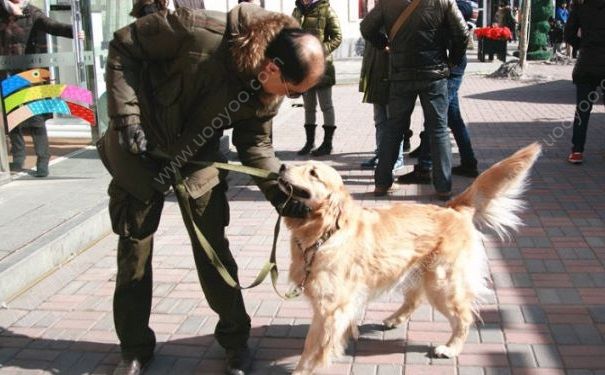 独居老人洗澡摔伤致死身有咬痕，疑家犬拖拽救主未成功(2)