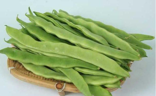 扁豆的食用方法有哪些？扁豆有什么功效与作用？(1)