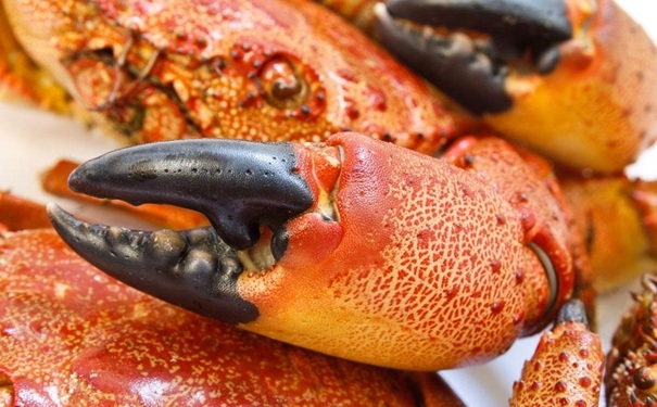 宝宝发烧可以吃螃蟹吗？宝宝发烧不能吃什么食物？(1)