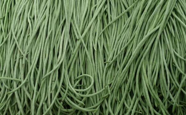 豆类蔬菜的选购技巧是什么？如