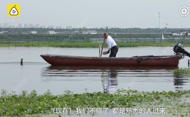 去阳澄湖吃正宗大闸蟹？当地人：正宗的你肯定买不到(4)