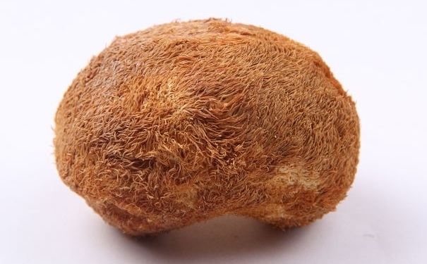干猴头菇怎么吃？猴头菇的营养价值什么？(1)