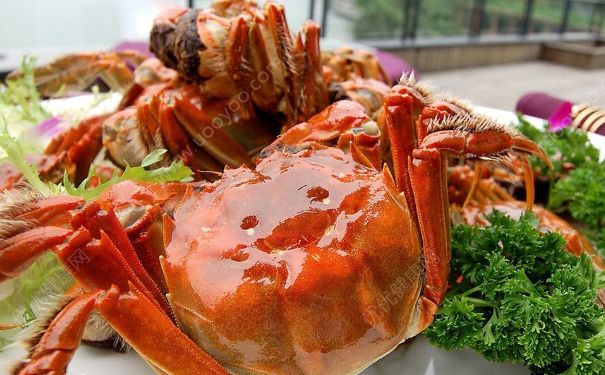 秋季吃螃蟹有什么饮食禁忌？秋季吃螃蟹有什么要注意的？(2)