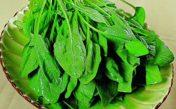 菠菜与哪些食物相克？菠菜炒鸡蛋怎么做？(1)