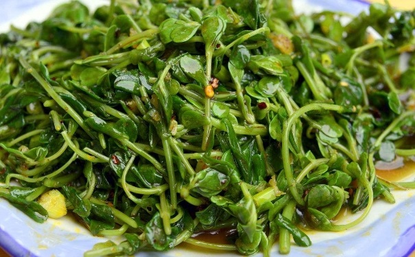 哪些蔬菜没熟有毒？没煮熟有毒的蔬菜有哪些？(1)