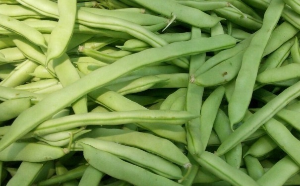 哪些食物会导致食物中毒？吃什么蔬菜要小心中毒？(1)