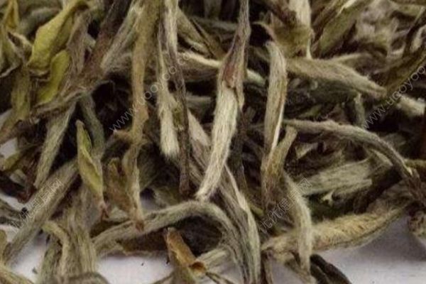 普洱白茶怎么保存？普洱白茶能存放多久？(1)