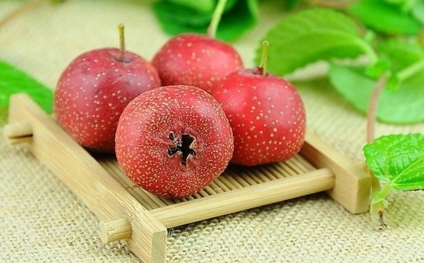 夏季养胃不能吃什么？夏季养胃适合吃什么养生？(1)