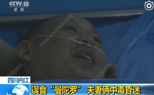 夫妻俩把漂亮花朵摘回家煮了吃，没想到中了剧毒(3)