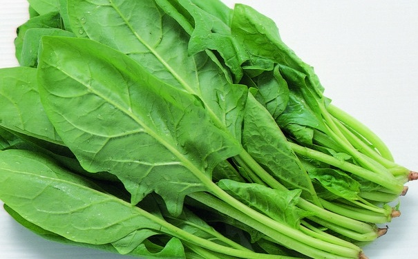哪些食物吃错了会中毒？容易导致中毒的食物有哪些？(1)