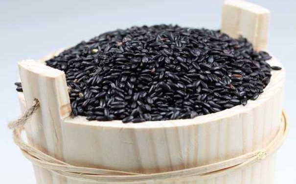 米饭中加什么食物减肥？日常吃什么食物可以减肥？(2)
