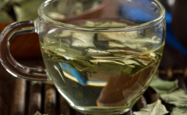喝什么茶能有效减肥？喝什么茶减肥的效果最好？(1)