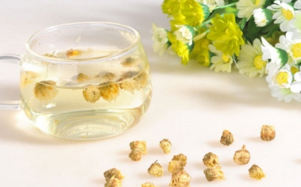 冬季喝菊花茶的禁忌是什么？冬季喝菊花茶的好处有哪些？(1)