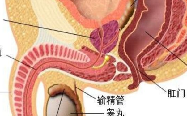 有效预防睾丸炎的方法有哪些？预防睾丸炎有什么好方法？(1)