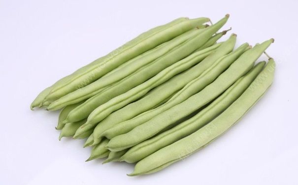 疑食用未熟扁豆中毒，95人被送医，扁豆不煮熟真的有毒吗？(2)
