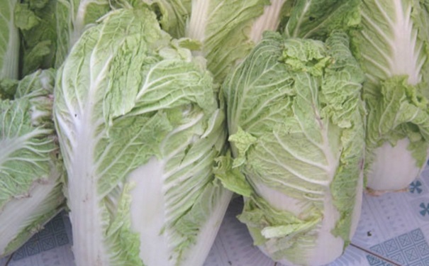 蔬菜存储有什么技巧？蔬菜存放