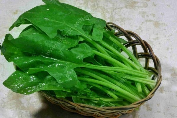蔬菜常见错误吃法有哪些？哪些蔬菜的吃法是不对的？(2)