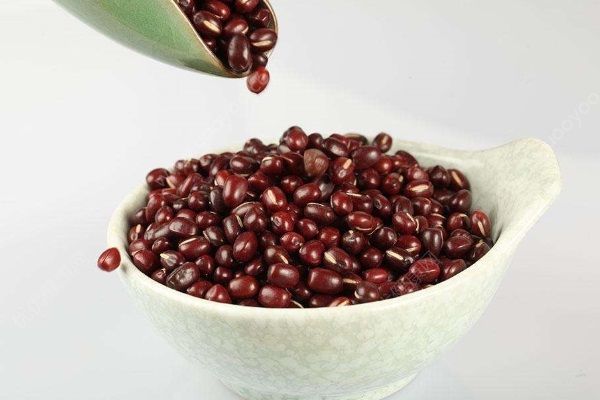 女人冬季吃什么食物进补？冬季这八种食物女人不可错过！(2)