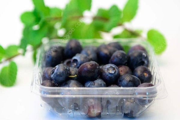 盒装的蓝莓不洗可以直接吃吗？盒装的蓝莓怎么清洗？(2)