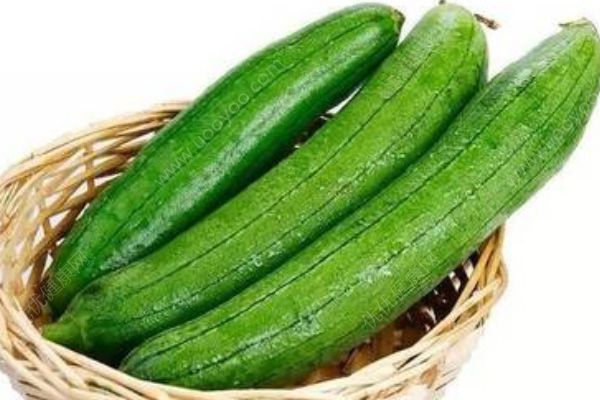 春节期间聚餐多！教你几招避免“每逢佳节胖三斤”？(2)