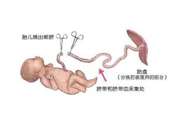 女子瞒家人在厕所分娩，割脐带时失手致新生儿死亡(2)